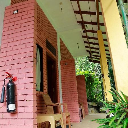 Star Rain Tour Inn Ratnapura Exteriör bild
